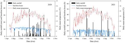 Regulation of tillage on grain matter accumulation in maize